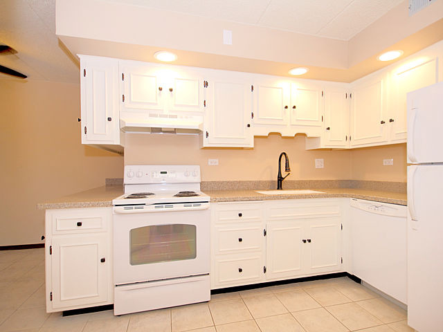1660 E Thacker St #1c, Des Plaines, IL 60016 photo 6