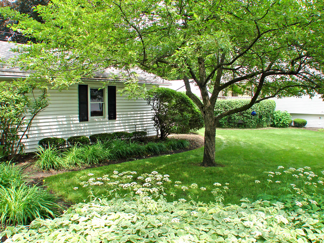 116 Saint Armand Ln, Wheeling, IL 60090 photo 22