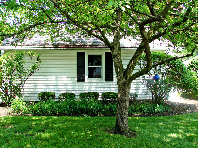 116 Saint Armand Ln, Wheeling, IL 60090 photo 20