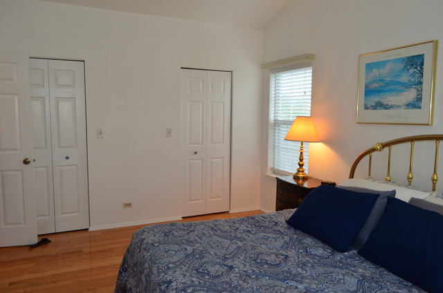 1306 Blackhawk Ln, Bartlett, IL 60103 photo 9