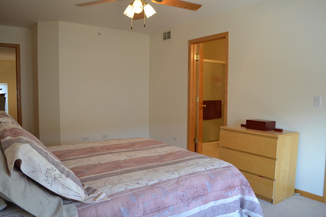 725 River Walk Dr, Wheeling, IL 60090 photo 13