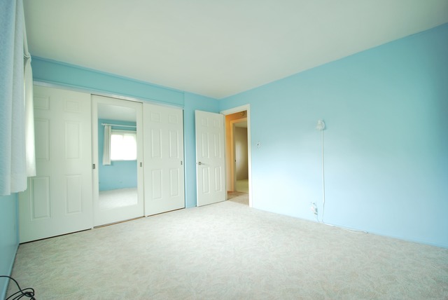725 Maple Ln, Hoffman Estates, IL 60169 photo 13