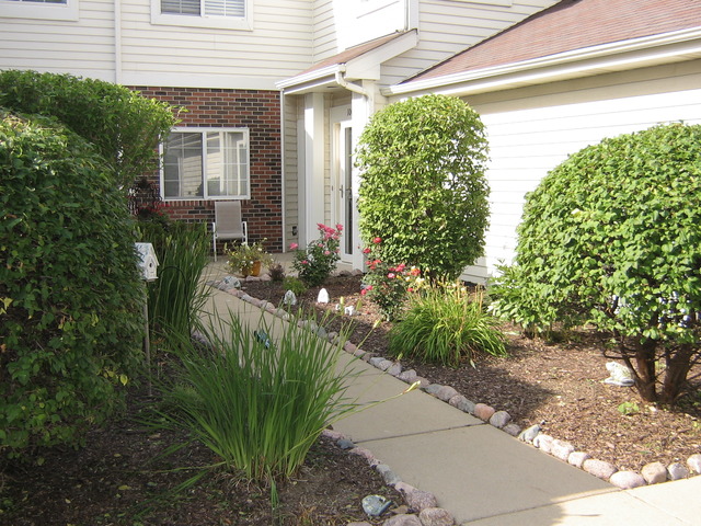998 Spring Ct, Darien, IL 60561 photo 2