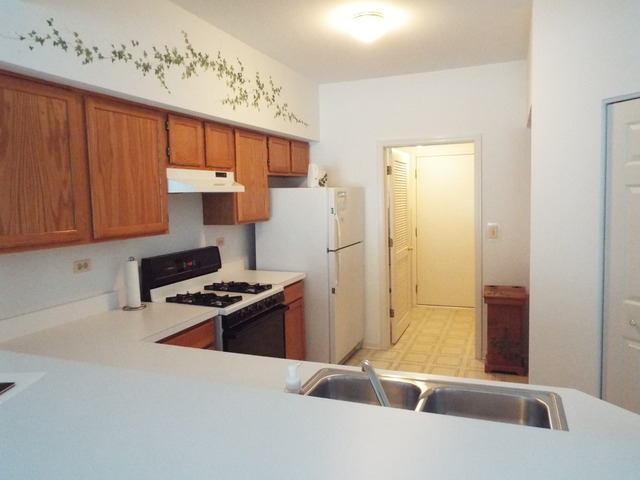 998 Spring Ct, Darien, IL 60561 photo 4