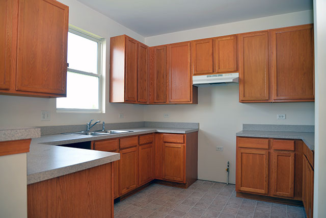 25148 Spring St, Manhattan, IL 60442 photo 5