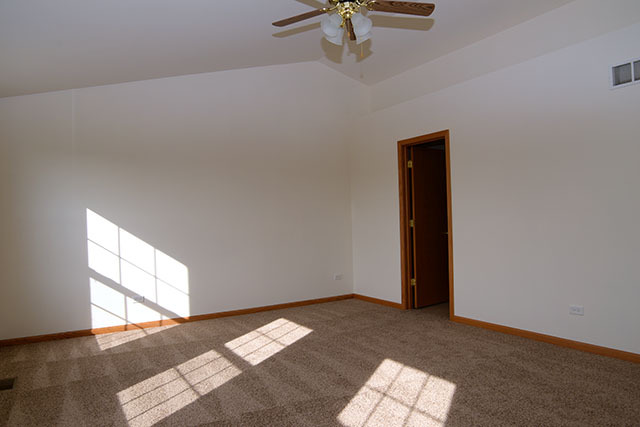 25148 Spring St, Manhattan, IL 60442 photo 9