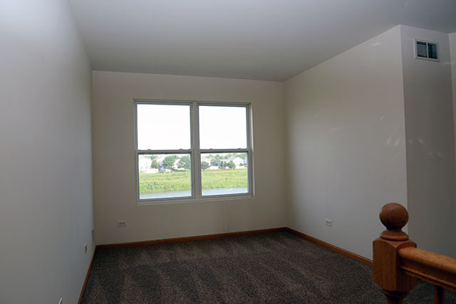 25148 Spring St, Manhattan, IL 60442 photo 7