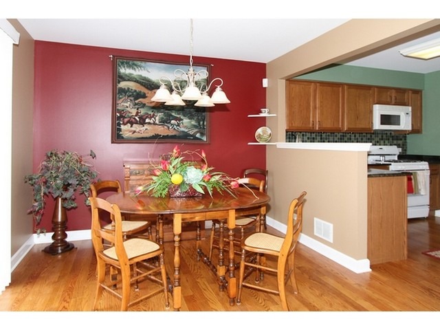 1305 Filly Ln, Bartlett, IL 60103 photo 8