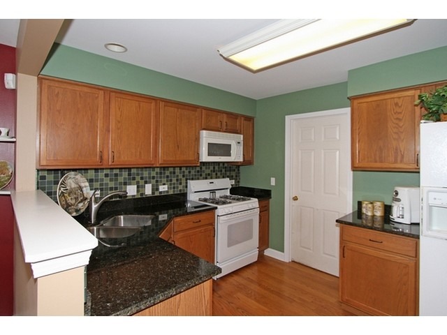 1305 Filly Ln, Bartlett, IL 60103 photo 10