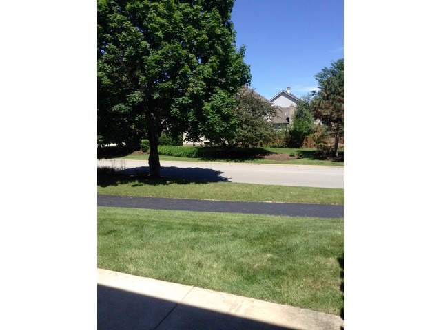 1305 Filly Ln, Bartlett, IL 60103 photo 23