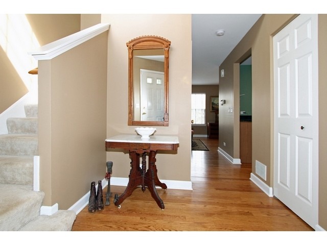 1305 Filly Ln, Bartlett, IL 60103 photo 4