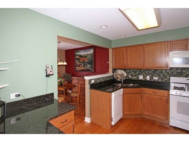1305 Filly Ln, Bartlett, IL 60103 photo 11