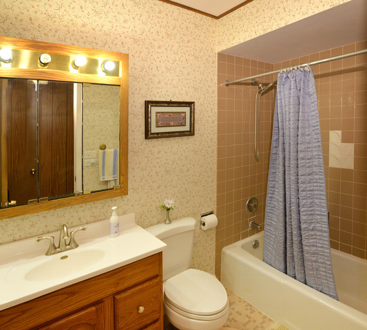 710 E Turner Ave, Roselle, IL 60172 photo 8