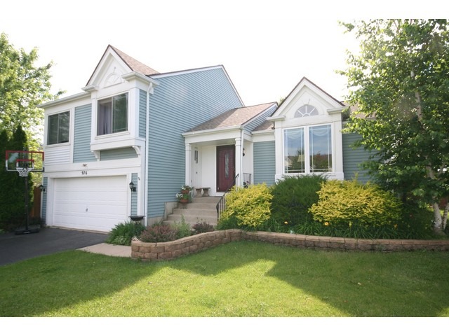 976 Annandale Dr, Elgin, IL 60123 photo 1