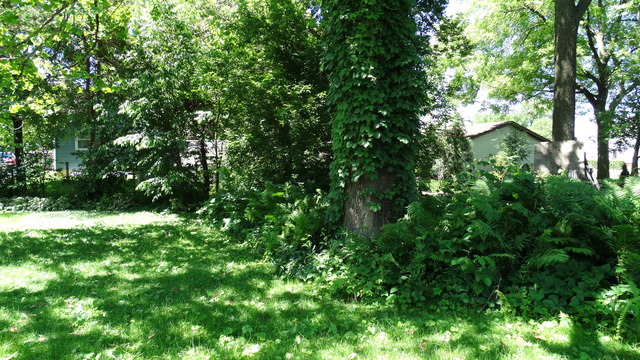 305 E Thompson St, Harvard, IL 60033 photo 18