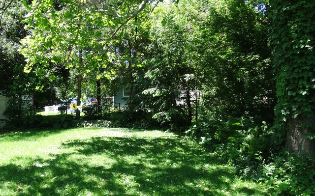 305 E Thompson St, Harvard, IL 60033 photo 19