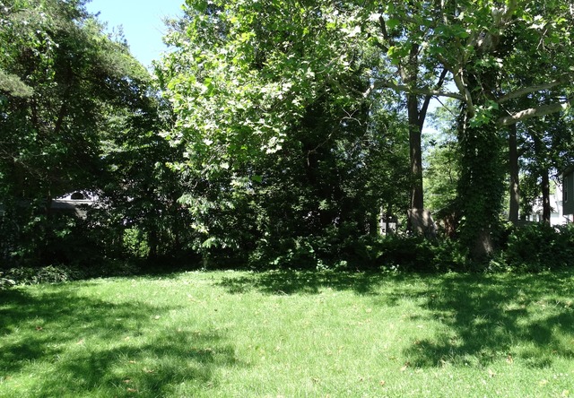 305 E Thompson St, Harvard, IL 60033 photo 22