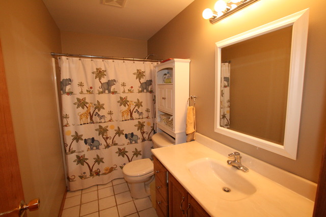 1506 Major Dr, Plainfield, IL 60586 photo 11