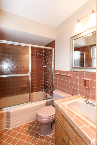 602 E Council Trl, Mount Prospect, IL 60056 photo 9