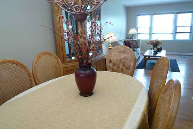 1126 N Harlem Ave #c, River Forest, IL 60305 photo 5