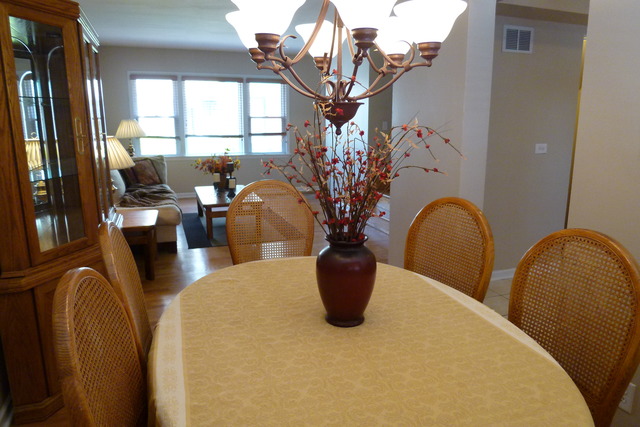 1126 N Harlem Ave #c, River Forest, IL 60305 photo 6
