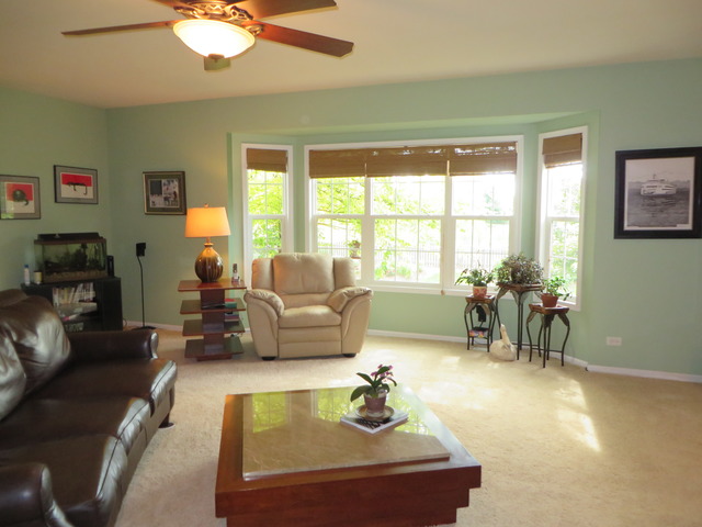 16456 S Arbor Dr, Plainfield, IL 60586 photo 12