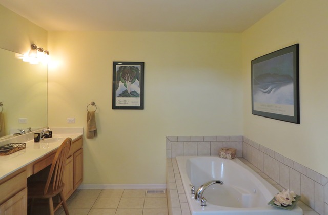 16456 S Arbor Dr, Plainfield, IL 60586 photo 15
