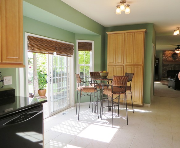 16456 S Arbor Dr, Plainfield, IL 60586 photo 6