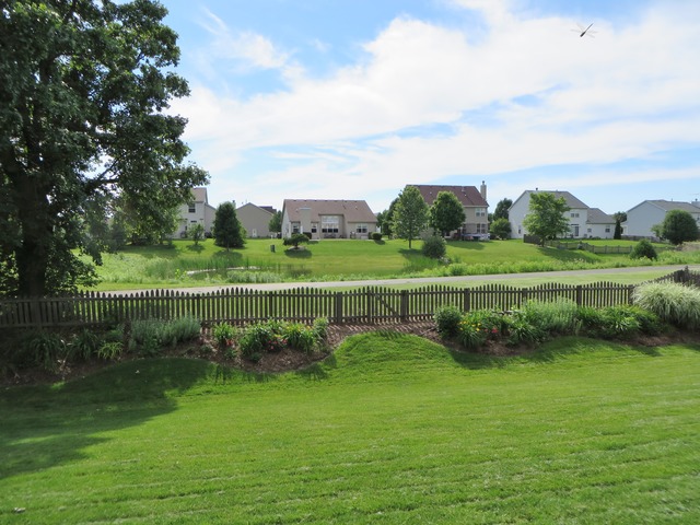 16456 S Arbor Dr, Plainfield, IL 60586 photo 9