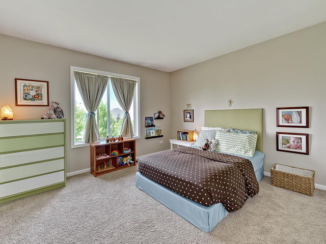 14508 Independence Dr, Plainfield, IL 60544 photo 15