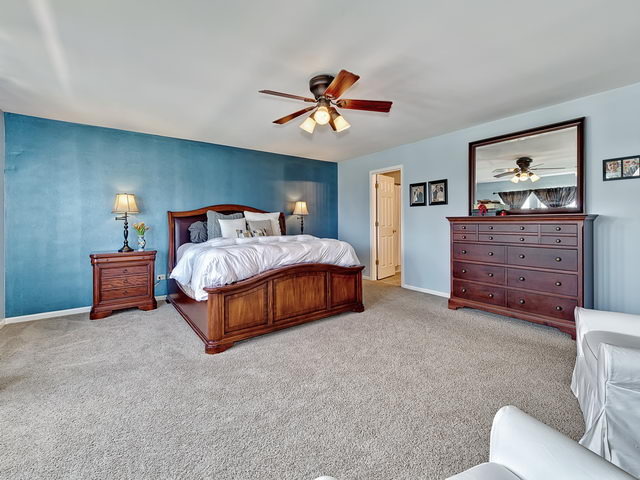 14508 Independence Dr, Plainfield, IL 60544 photo 12