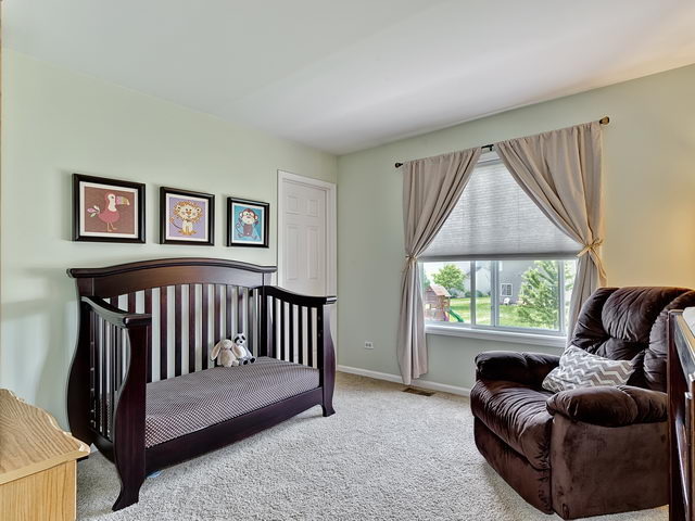 14508 Independence Dr, Plainfield, IL 60544 photo 14