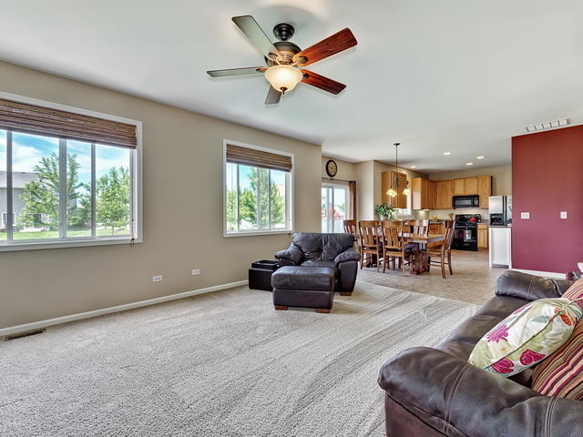 14508 Independence Dr, Plainfield, IL 60544 photo 8