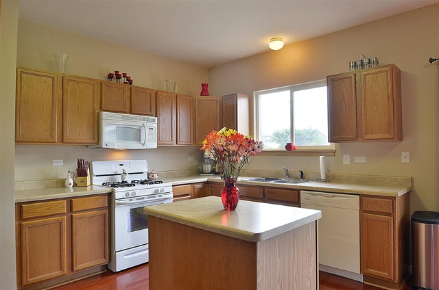 7809 Boxwood Ln, Plainfield, IL 60586 photo 9