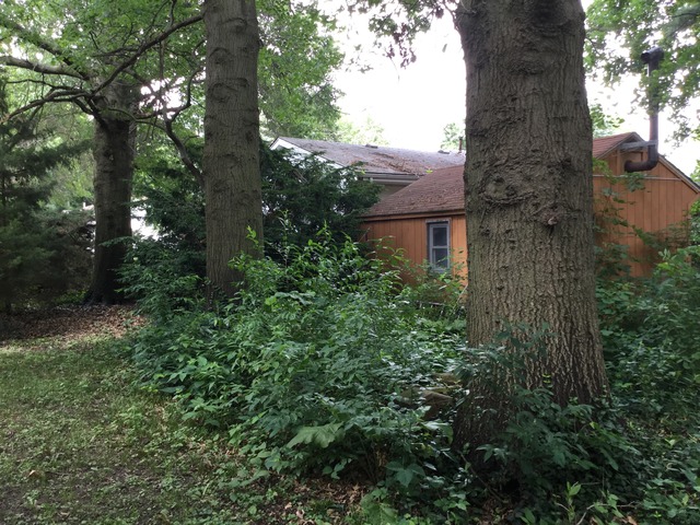 415 W Park Ave, Onarga, IL 60955 photo 22