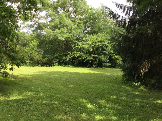 415 W Park Ave, Onarga, IL 60955 photo 25