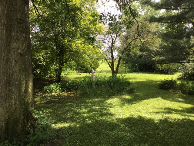 415 W Park Ave, Onarga, IL 60955 photo 16