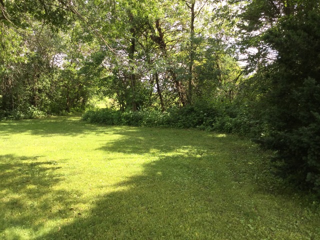 415 W Park Ave, Onarga, IL 60955 photo 15