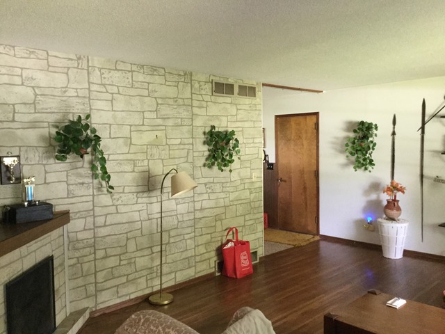 415 W Park Ave, Onarga, IL 60955 photo 4