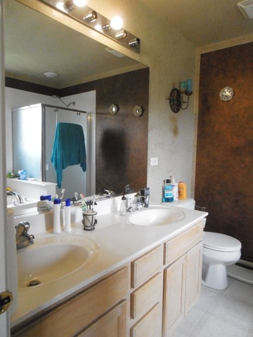 63 Timber Trails Ct, Gilberts, IL 60136 photo 10
