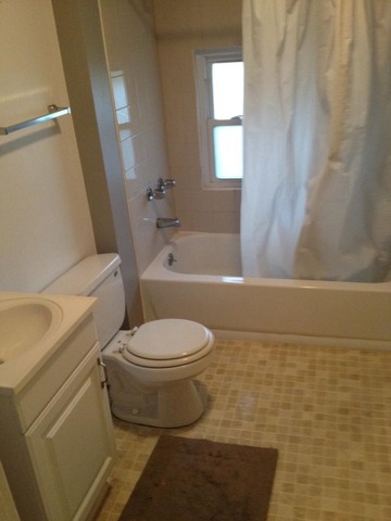 252 Hill Ave, Elgin, IL 60120 photo 12
