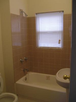 252 Hill Ave, Elgin, IL 60120 photo 13