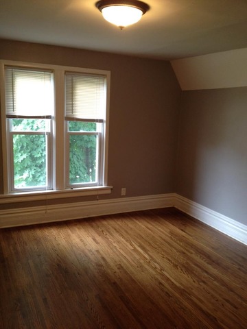 252 Hill Ave, Elgin, IL 60120 photo 5