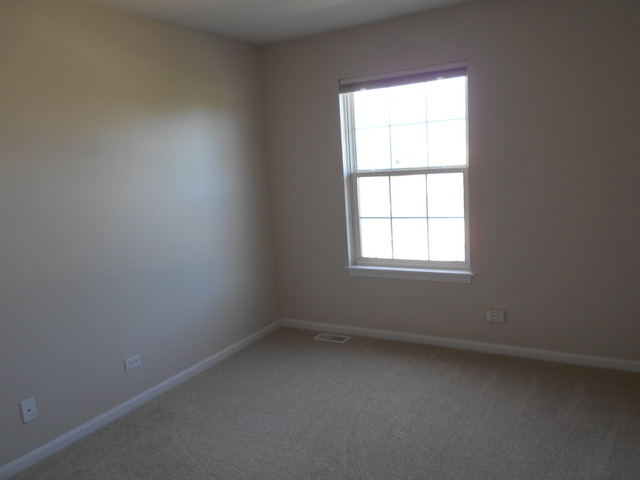 7 Brixton Ct, Algonquin, IL 60102 photo 12