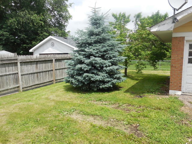792 Stewart Ave, Elgin, IL 60120 photo 5