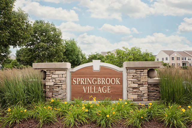 205 Springbrook Trl, Oswego, IL 60543 photo 20