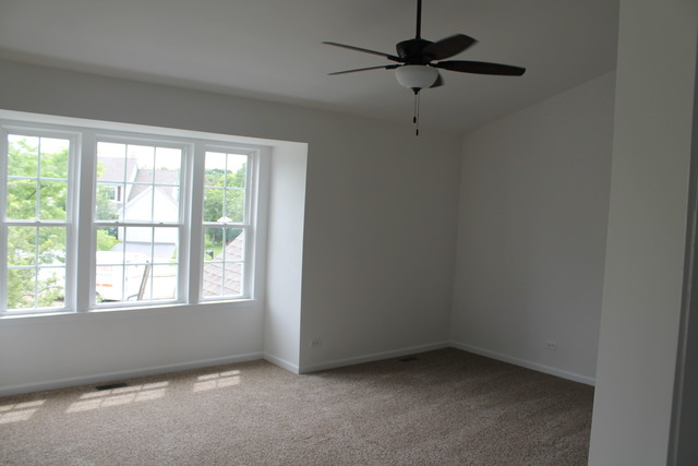 1174 Chesapeake Ct, Bartlett, IL 60103 photo 9