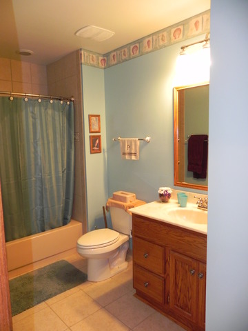 3965 Whispering Trails Dr, Hoffman Estates, IL 60192 photo 19