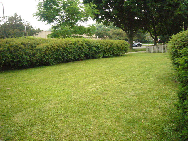 2300 Nathaniel Pl, Evanston, IL 60202 photo 11