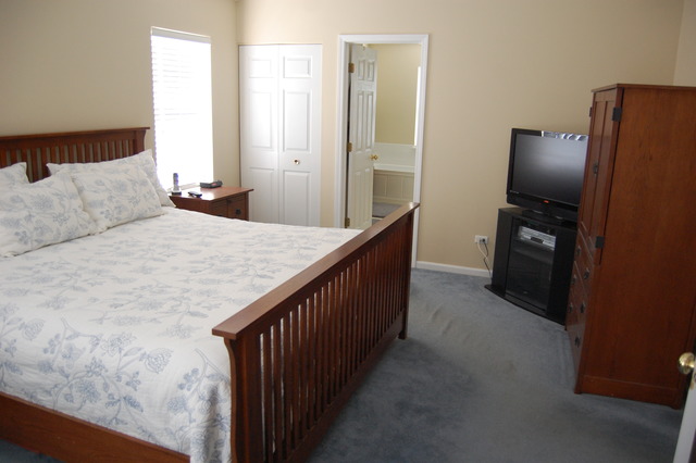 1420 Wildmint Trl, Elgin, IL 60123 photo 3